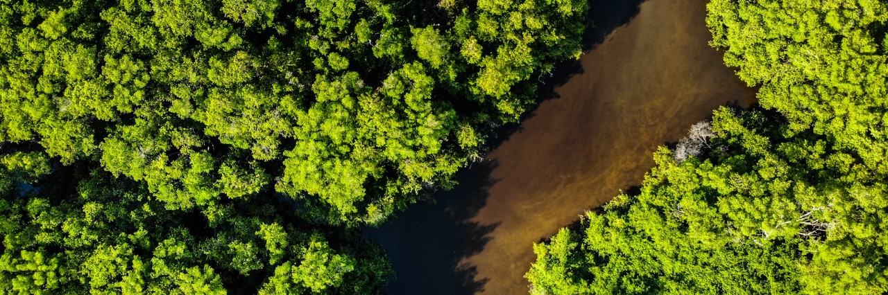 Photo by thiago japyassu from Pexels