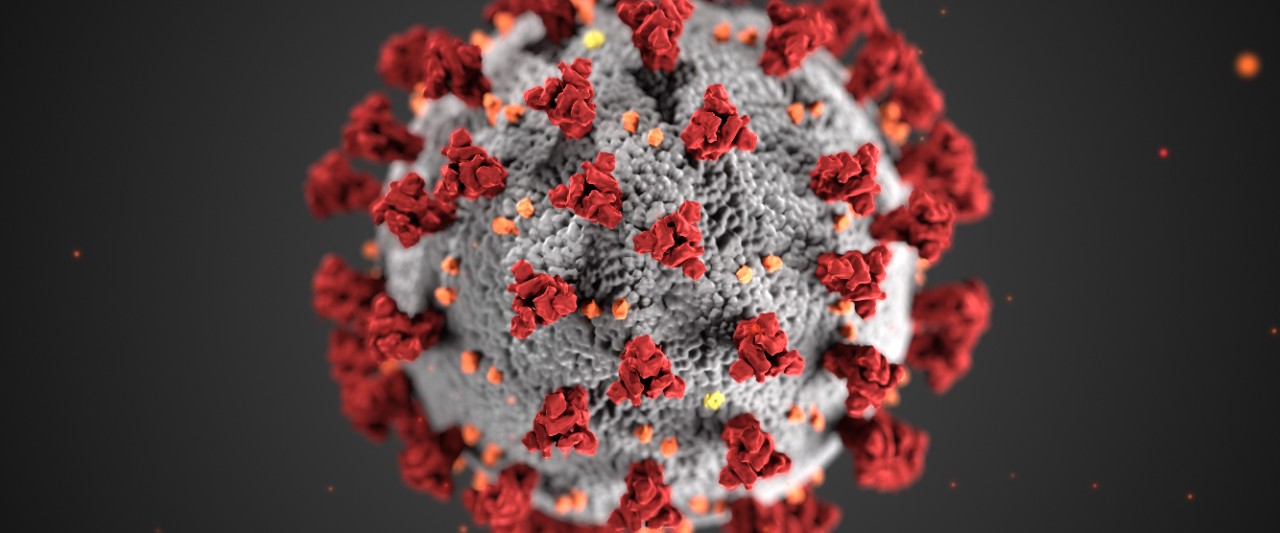 Coronavirus