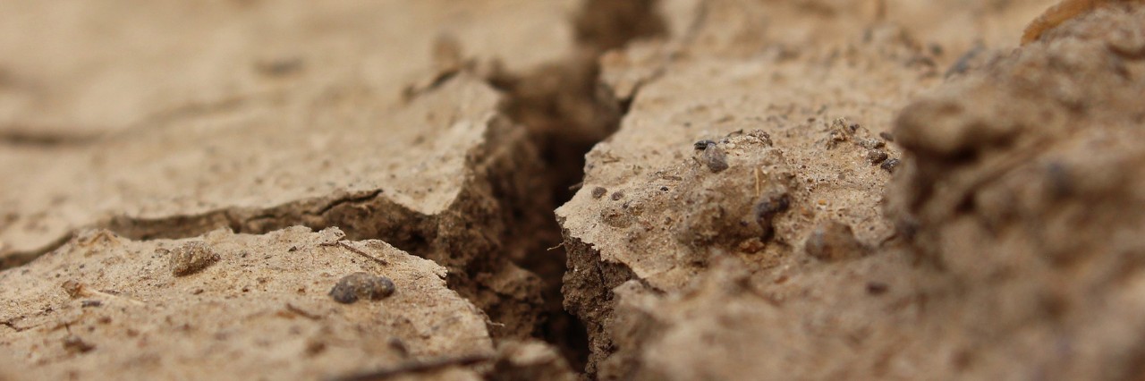 cracked dirt