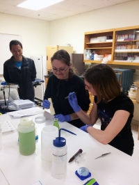 PELL Lab post-doc and graduate students, 2019