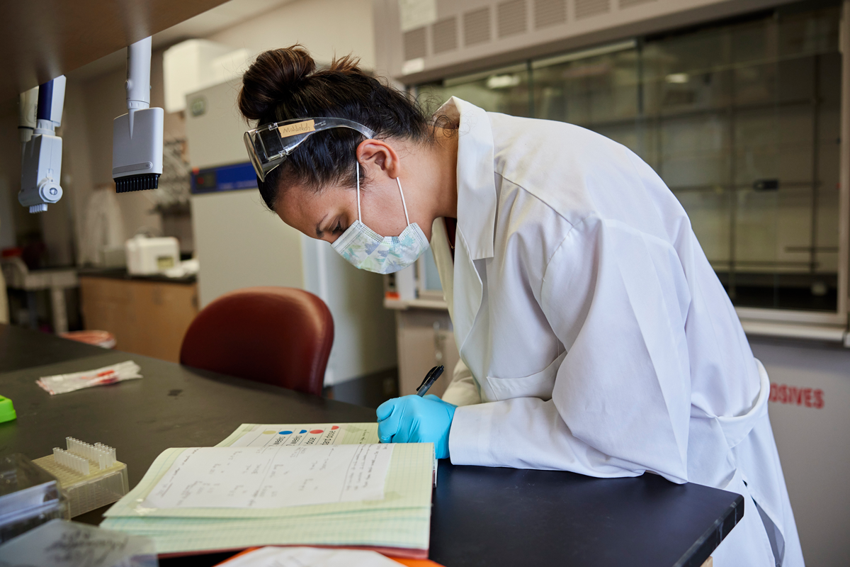OU doctoral student Mahbobeh Lesani documenting test notes in McCall’s lab.