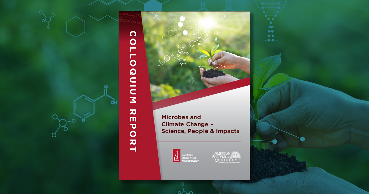 report cover