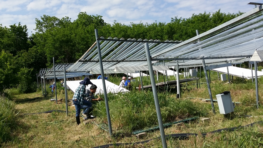 Researchers at the Institute for Environmental Genomics at the University of Oklahoma are investigating plant diversity and taking samples for microbial diversity analysis