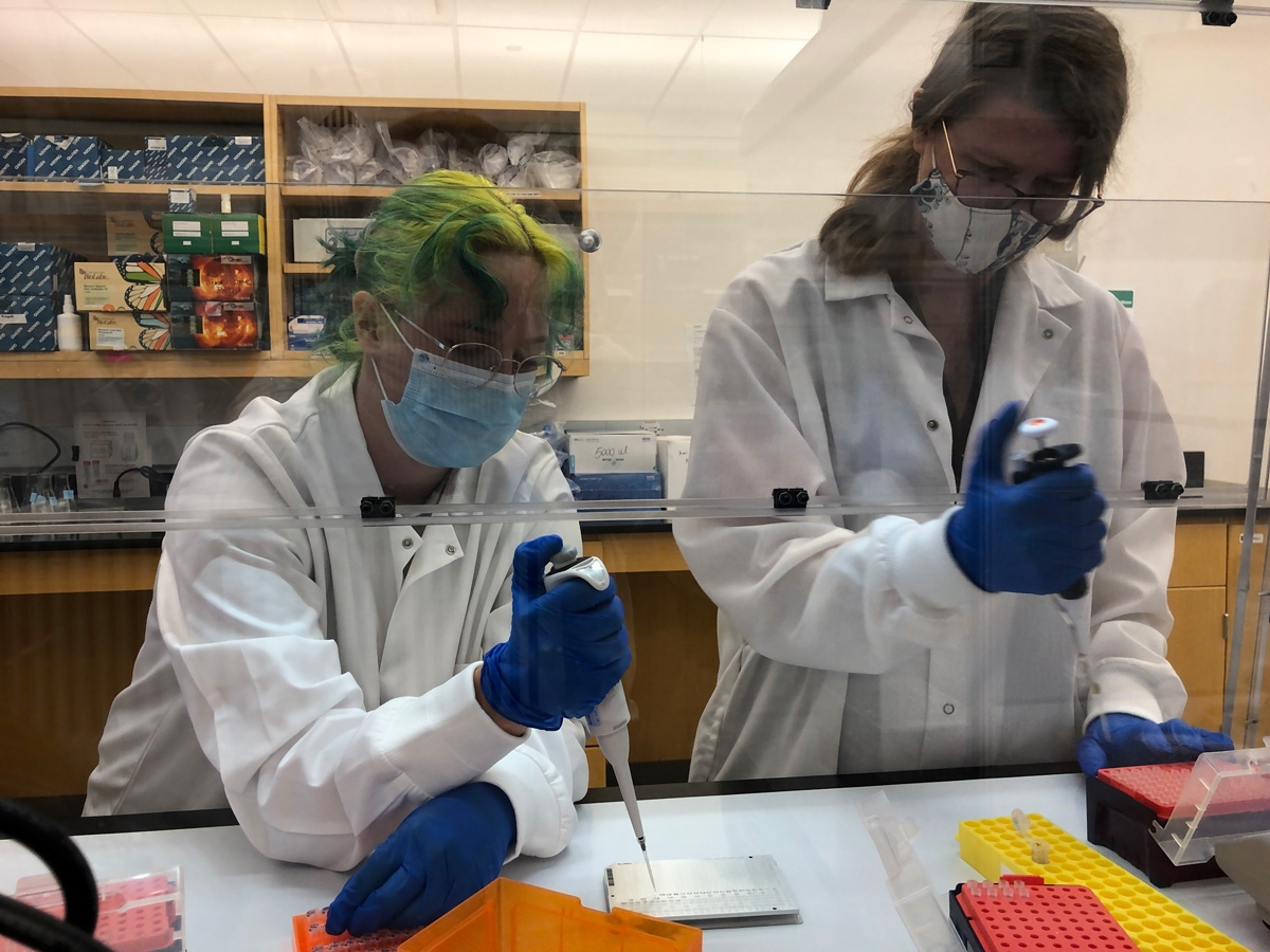 Courtney Hofman, professor of anthropology at the University of Oklahoma, and Laboratories of Molecular Anthropology and Microbiome Research lab technician Karissa Hughes working in OU’s LMAMR ancient DNA lab. Photo by Robin Singleton.