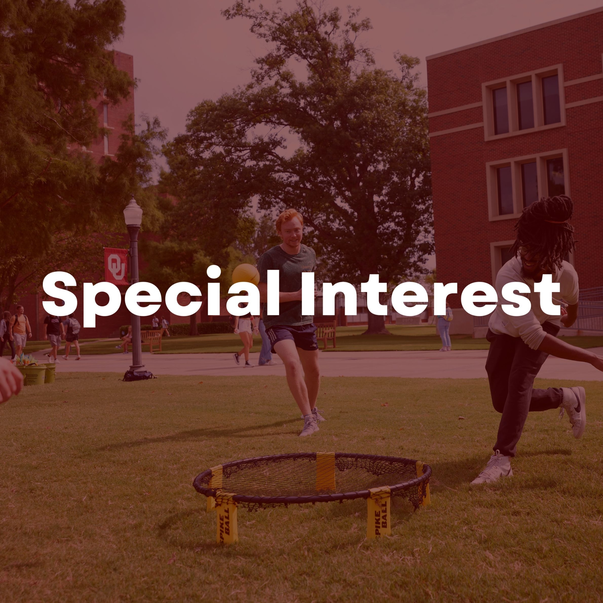 Special interest RSO category.