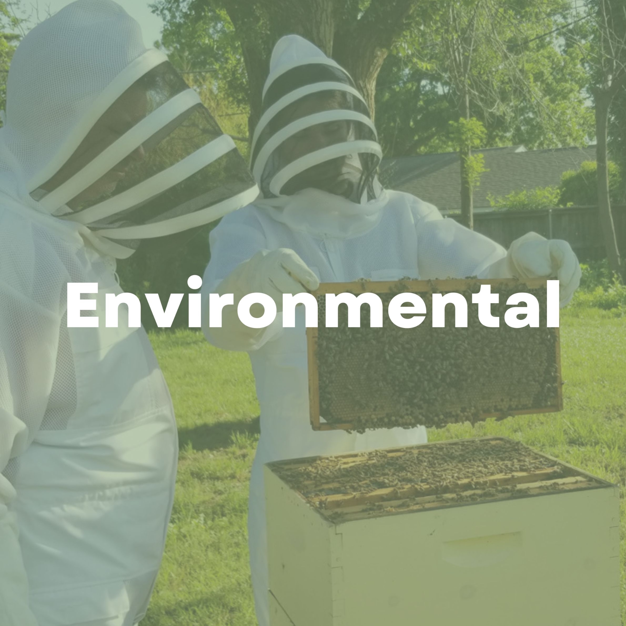 Environmental RSO category.