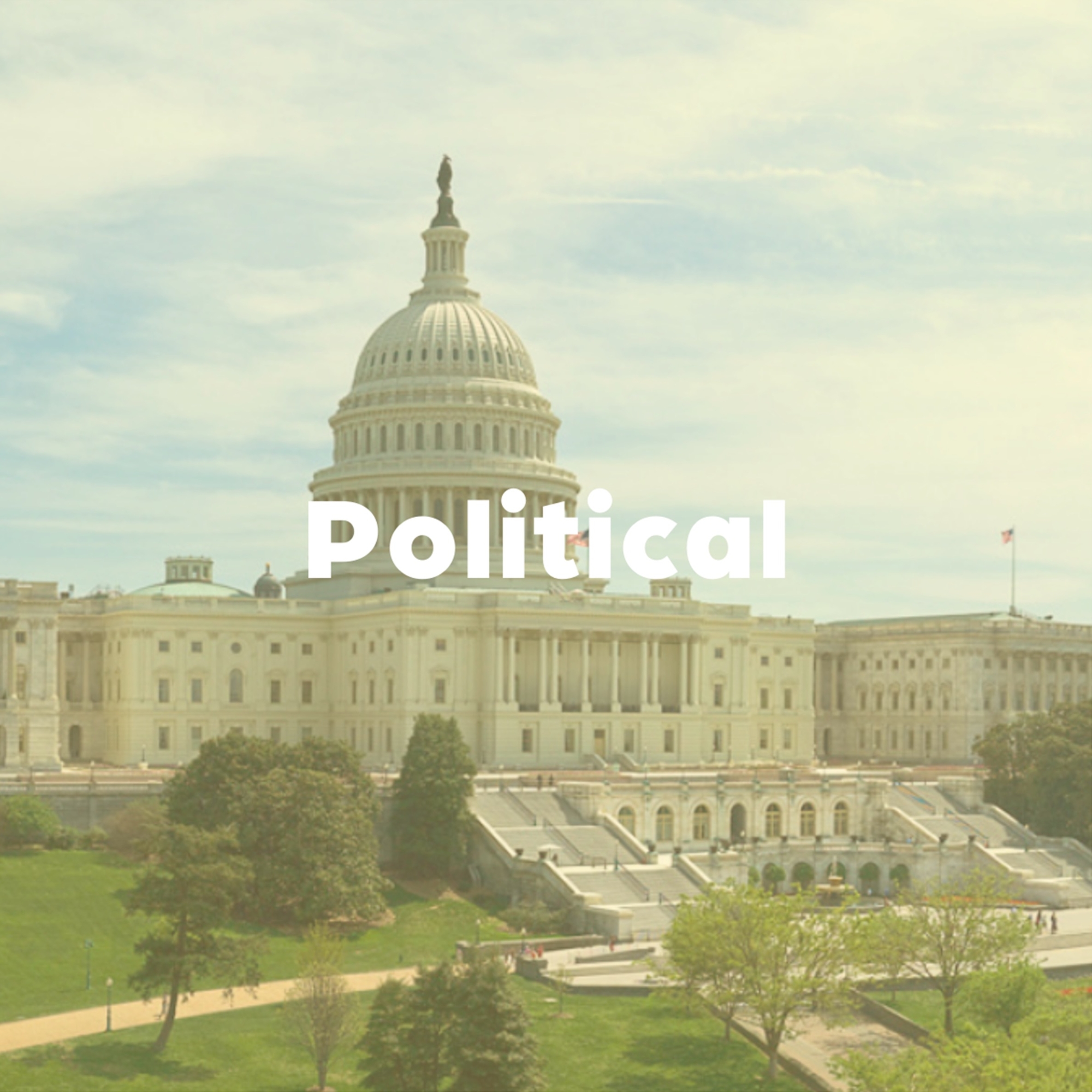 Political RSO category.