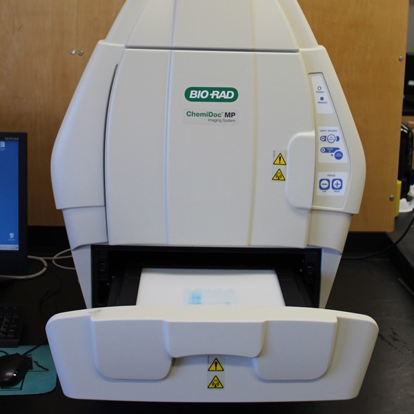 Imaging System