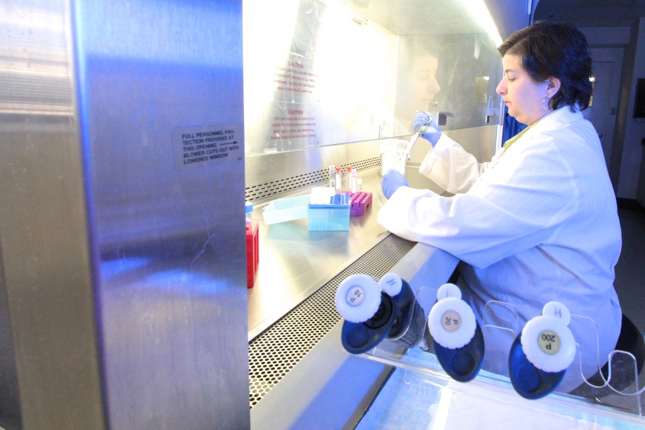 tissue culture