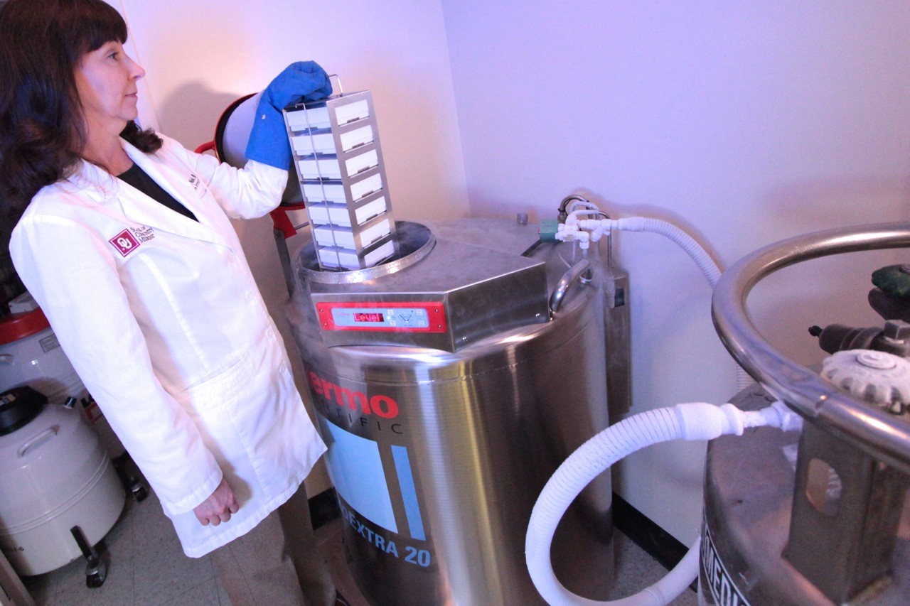 cryostorage