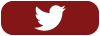 A button with the Twitter logo