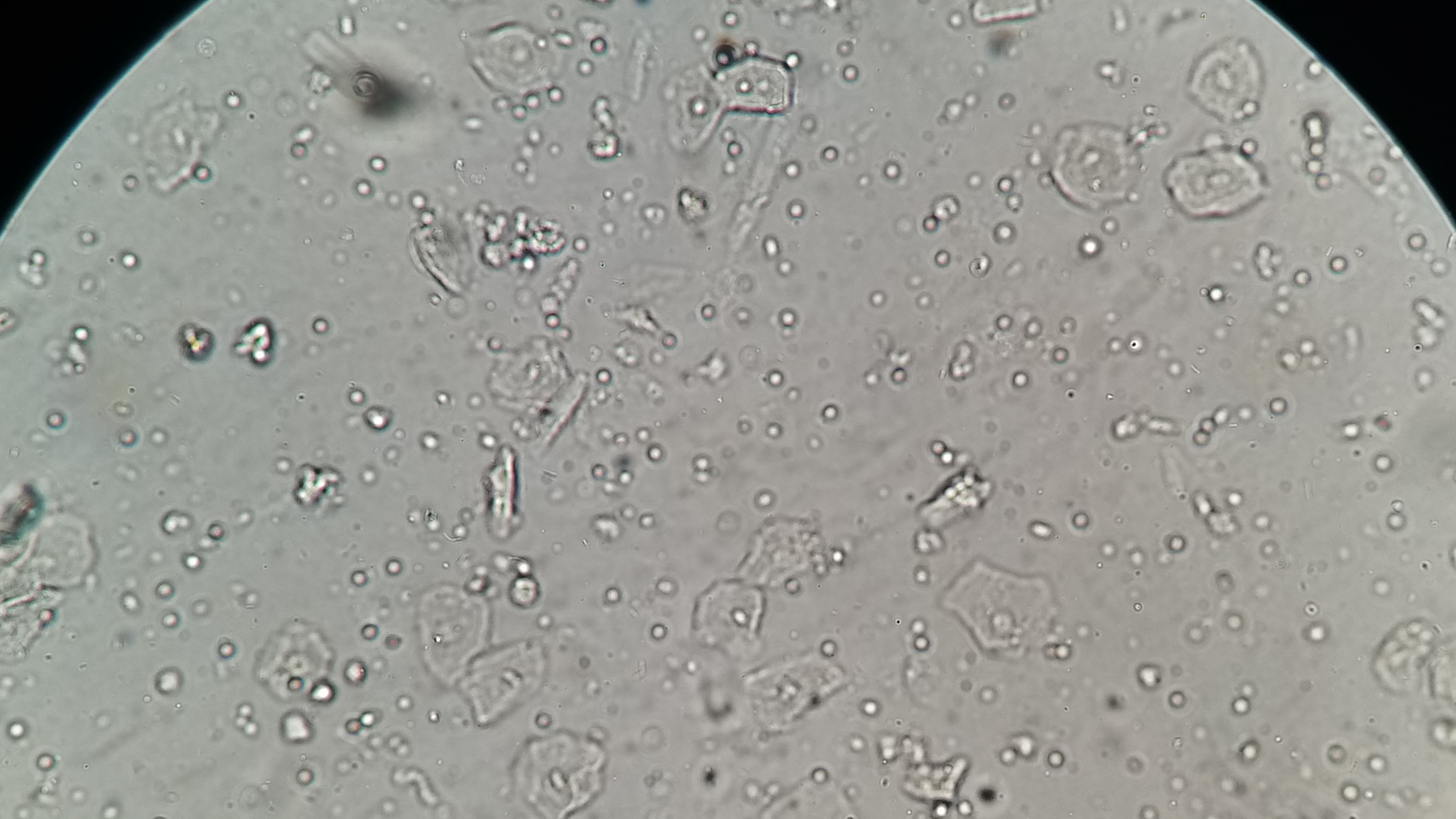 Micro Micro