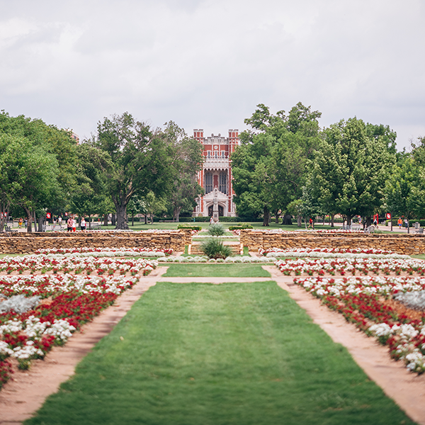 OU Campus Beauty (Decorative)